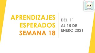 APRENDIZAJES ESPERADOS SEMANA 18 DEL 11 AL 15 DE ENERO 2021 INICIAL PREESCOLAR PRIMARIA SECUNDARIA [upl. by Marya]