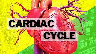 The Cardiac Cycle [upl. by Annawyt]