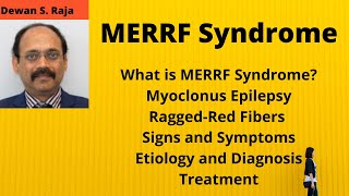 MERRF Syndrome [upl. by Niwre]