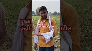 दुष्काळ viralvideo shortfeed motivation shortfeed shorts farmer tv9live trending [upl. by Oliy]