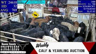 2272024  Beaver County Stockyards Weekly Calf amp Yearling Auction [upl. by Pisano]