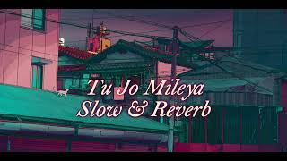 Tu Jo Mileya  LoFiSlow amp Reverb  Juss x MixSingh  Zyn LoFi trending slowedandreverb music [upl. by Alexina]