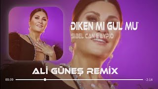 Sibel Can amp Eypio  Diken Mi Gül Mü Prod Ali Güneş [upl. by Senaj563]