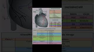 What are the 4 classes of antiarrhythmic drugs [upl. by Wilkens]