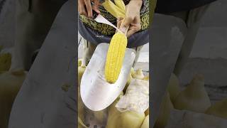 Thailands amazing corn cutting master [upl. by Herv652]