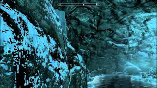 Skyrim What to do if your follower stuck [upl. by Placeeda]