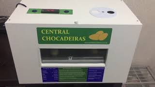 Chocadeira Automática com ovoscopio [upl. by Esimorp]