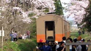 芦野公園桜まつりと津軽鉄道「DD35型機関車」 [upl. by Malissa]