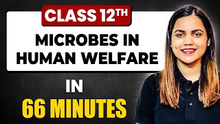 MICROBES IN HUMAN WELFARE in 66 Minutes  Biology Chapter 10  Full Chapter Revision Class 12th [upl. by Adelaide992]