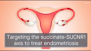 Extracellular succinate drives adhesion and implantation of stromal cells in endometriosis [upl. by Barrington]