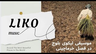 LIKOHIKO PALMS لیکو هایکوی بلوچ فصل هامین [upl. by Pavior]