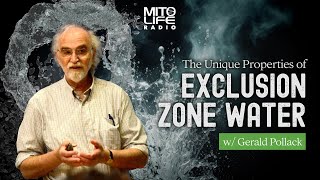 The Unique Properties of Exclusion Zone Water w Gerald Pollack  Mitolife Radio Ep 242 [upl. by Pattie]