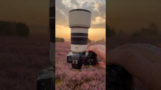 Using a Tele Lens for Landscape Photography Sure KameraExpressDeutschland CanonEurope [upl. by Crellen128]