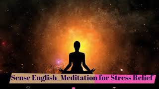 스트레스완화를 위한 조용한명상 guided meditation for stress relief 영어명상 [upl. by Kelwin159]