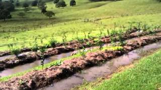 Permaculture  Water Harvesting  Full Swales [upl. by Eitsyrc]