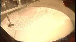 How Its Made Yogurt [upl. by Putscher5]