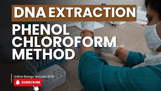 DNA extraction from Blood  PhenolChloroform method  Molecular biology [upl. by Allemap]