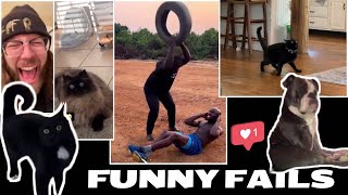 Epic Pet Fails That Will Make You LOL  Смешные видео [upl. by Gautier281]