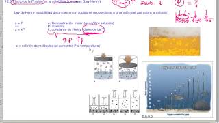 Efecto de la Presión en la solubilidad Ley Henry  QB263 [upl. by Farra302]