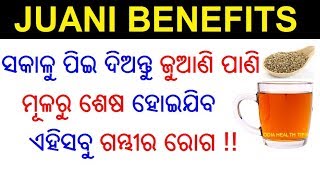 ଜୁଆଣି ର ୧୦ ଟି ଔଷଧୀୟ ଗୁଣ  Juani ra upakarita  Juani benefits  Ajwain Odia  ODIA HEALTH TIPS [upl. by Howlyn542]