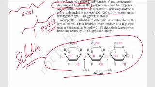 Biomolecules Part 3  Disaccharides amp Polysaccharides  Sucrose Maltose Lactose Starch [upl. by Calista]