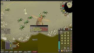 Obby Mauler solos Kalphite Queen with a Veracs flail combat achievement task [upl. by Thom]