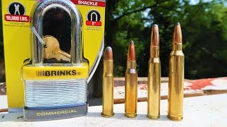 Padlock vs 3030 vs 308 vs 3006 vs 300 win mag [upl. by Ronacin50]