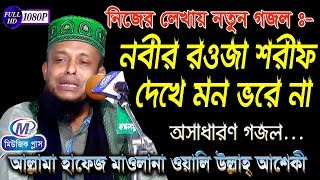 নতুন গজল  নবীর রওজা শরীফ দেখে মন ভরে না  অলি উল্লাহ আশেকী  Music Plus Waz [upl. by Mllly80]