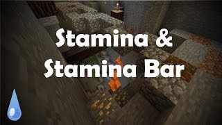 Stamina amp Stamina Bar in Vanilla Minecraft [upl. by Parette]