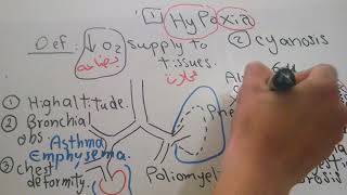 Respiratory new system Hypoxia and Cyanosis dr mohamed fayez [upl. by Smaoht233]