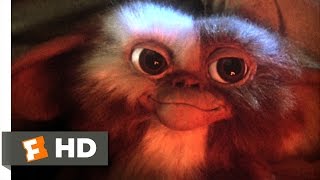 Top 10 Gremlins Moments  Gremlins 2 The New Batch  Max [upl. by Neelahtak]