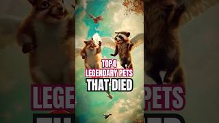 RIP beloved pets animals pets squirrel [upl. by Kory]