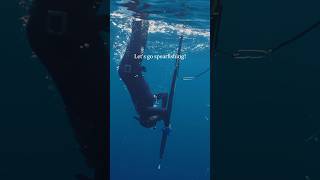 Let’s go spearfishing 🐟 bajacalifornia baja spearfishing diving freediving mexico [upl. by Ayalahs]