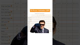 10 Types of Searchbug Phone Validation API  Same Same But Different 😅 [upl. by Kcinimod]