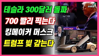 테슬라 300달러 돌파 700 빨리 찍는다 킹 메이커 머스크 트럼프 빚 갚는다 31경제독립tv [upl. by Shull738]