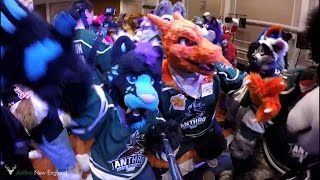 Anthro New England 2016  Fursuit Group Photo Music Video [upl. by Retse]