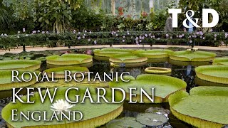 Royal Botanic Gardens Kew  England Attractions  Travel amp Discover [upl. by Yalcrab]