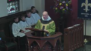 Fr Newmans Homily for TwentyFifth Sunday of the Year [upl. by Hanley922]