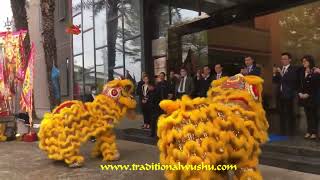 A pair of dancing Lion opening a business in Foshan China [upl. by Burny]