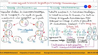 3Le brassage intrachromosomique et le brassage interchromosomique [upl. by Enyahs]