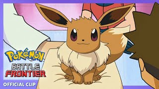 Eevee Hatches  Pokémon Battle Frontier  Official Clip [upl. by Elokkin173]