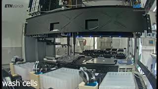 Automated splittingpassaging of adherent cell cultures using Hamilton liquid handling robot [upl. by Rainger]