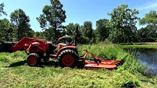 CLEARING Acres of OVERGROWN Land  TALL Weeds and Brush Removed [upl. by Morey]