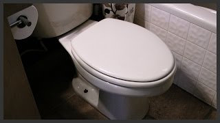 How to fix a loose toilet seat [upl. by Adnylem]