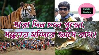 সুন্দরবনে বাঘের জঙ্গলে বনবিবি পুজো। Banbibi pujo in tiger forest UpdateGoutam [upl. by Anialad]