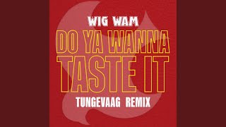 Do Ya Wanna Taste It Tungevaag Remix [upl. by Lasorella]