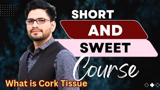 What is Cork Tissue  Science by Harish Katewa [upl. by Annaeg]