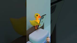 Enjoy Duckling duckquack memes duck funny duckdog duckface animation stopmotion [upl. by Neelloj831]