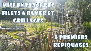 Patates sur gazon premiers repiquages de plants filets à ramer etc Pâques 2019  partie 2 [upl. by Mani]