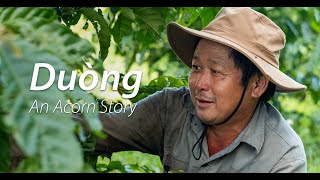 Benefits Of Agroforestry For Coffee Farmers  An Acorn Story ft Farmer Duòng Vān Ngiēm [upl. by Worrell]